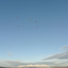 1st Operation Toy Drop 049